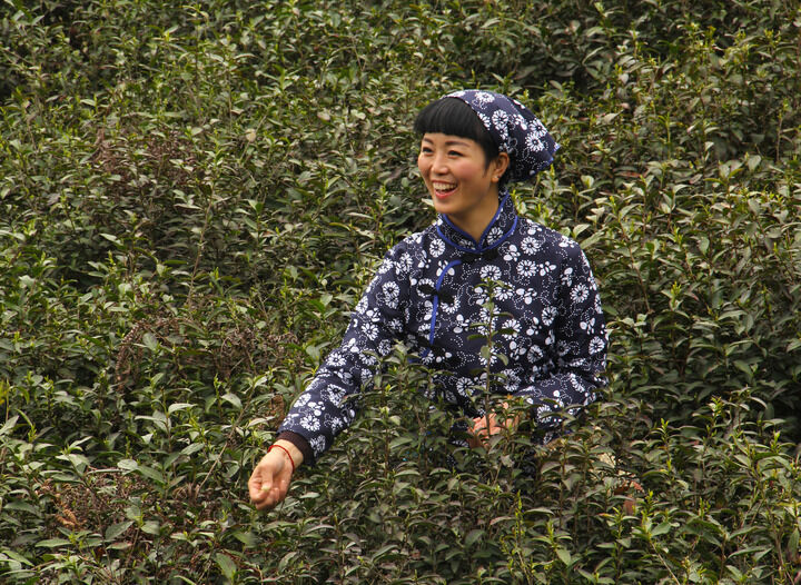 暗房探戈